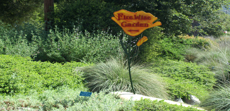 firewise garden